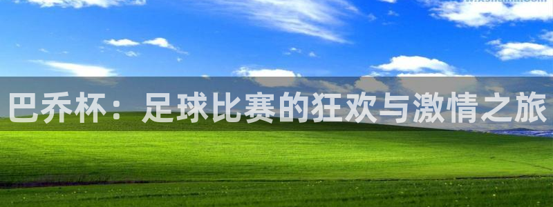 足球世预赛：巴乔杯：足球比赛的狂欢与激情之旅