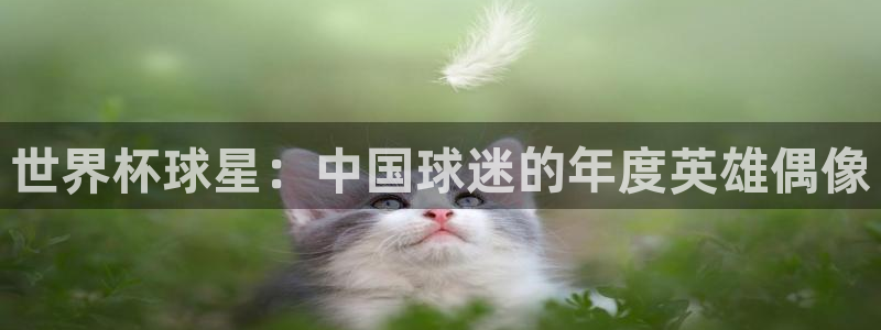 美洲杯直播：世界杯球星：中国球迷的年度英雄偶像