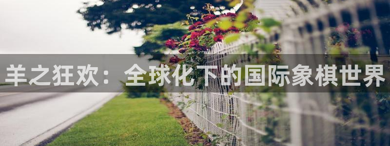 世界杯预选赛欧洲区赛程：羊之狂欢：全球化下的国际象棋世界