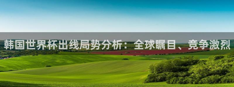 2026世界杯赛程表完整版：韩国世界杯出线局势分析：全球瞩目、竞争激烈