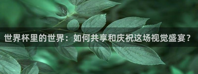 世界杯赛程表2026：世界杯里的世界：如何共享和庆祝这场视觉盛宴？