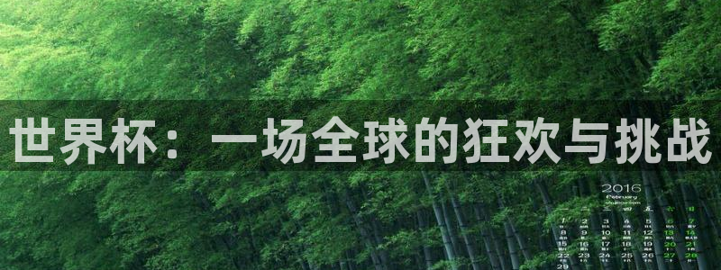 世界杯直播平台：世界杯：一场全球的狂欢与挑战