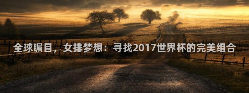 世界杯决赛圈球队：全球瞩目，女排梦想：寻找2017世界杯的完美组合