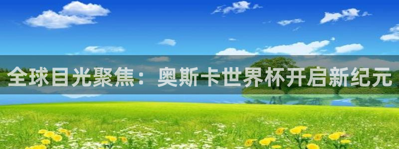 世界杯足球直播：全球目光聚焦：奥斯卡世界杯开启新纪元