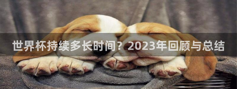 世界杯预选赛欧洲区赛程：世界杯持续多长时间？2023年回顾与总结