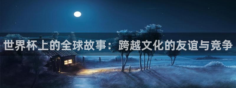 世界杯 直播：世界杯上的全球故事：跨越文化的友谊与竞争