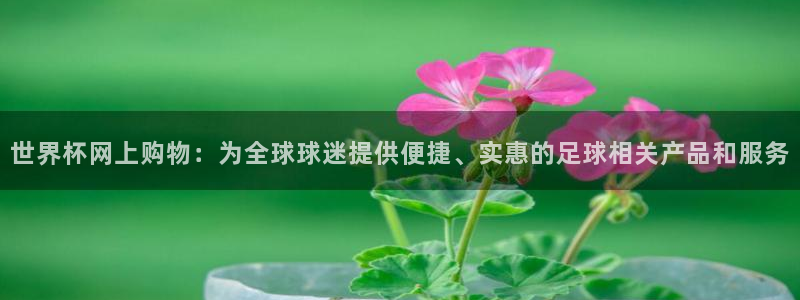 2026世界杯欧洲预选赛赛程表：世界杯网上购物：为全球球迷提供便捷、实惠的足球相关产品和服务